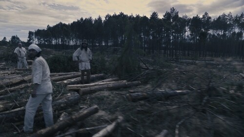 Agnieszka Polska, „Demon’s Brain”, 2018, czterokanałowa instalacja wideo, 7′24″