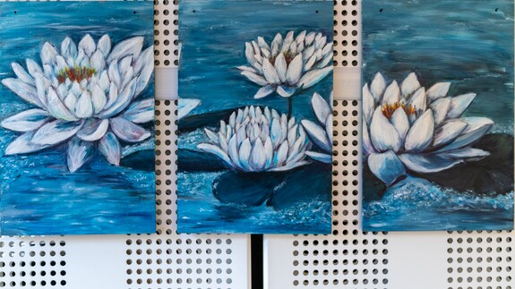 prace malarskie, lilie wodne